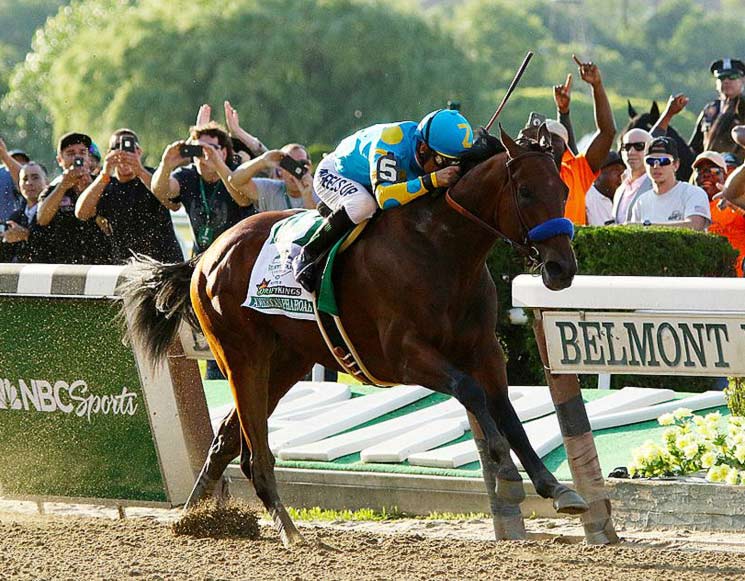 American Pharoah ist im Rennen um den begehrten Titel des „Sportlers des Jahres 2015". Foto: Wikipedia/Mike Lizzi